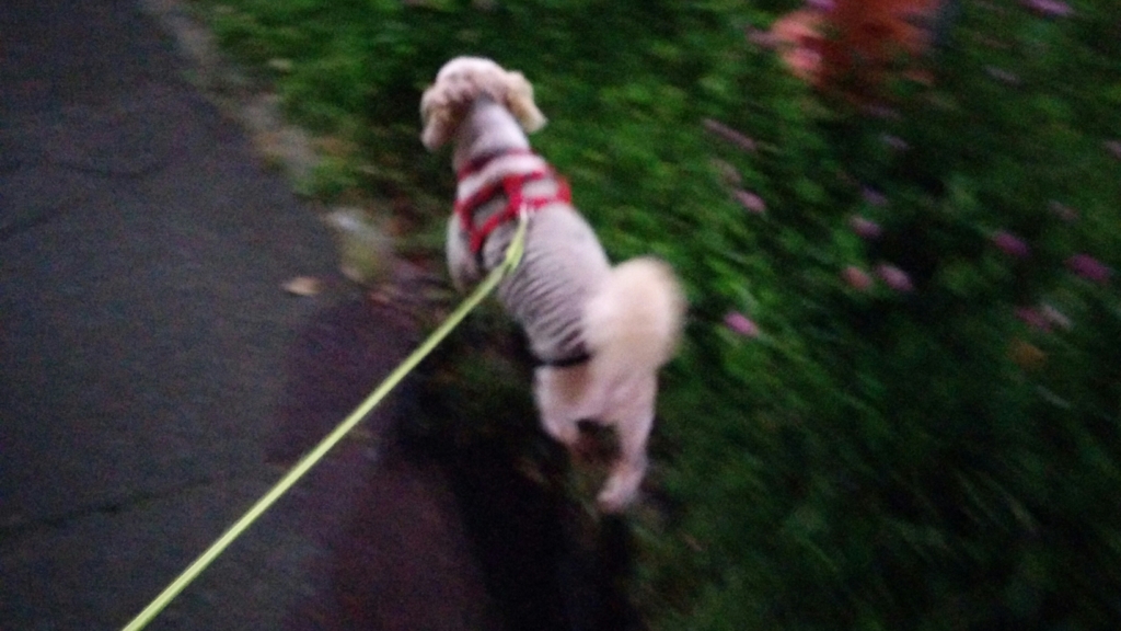 f:id:leo-roy:20160828004802j:plain