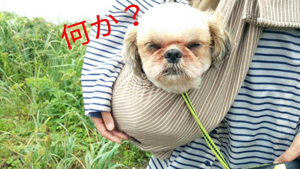 f:id:leo-roy:20160830173702j:plain f:id:leo-roy:20160830173702j:plain