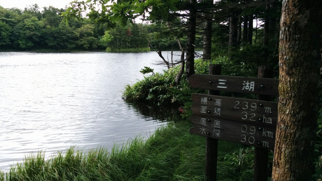 f:id:leo-roy:20160913162627j:plain