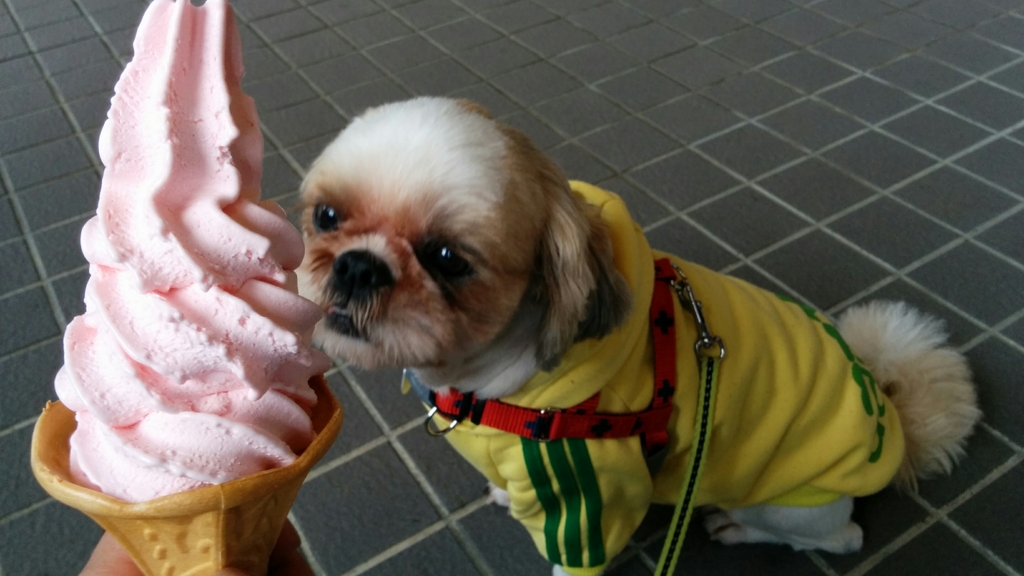 f:id:leo-roy:20160914201235j:plain