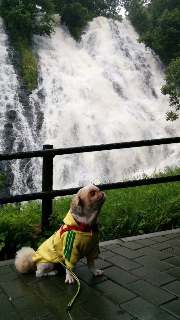 f:id:leo-roy:20160920203135j:plain