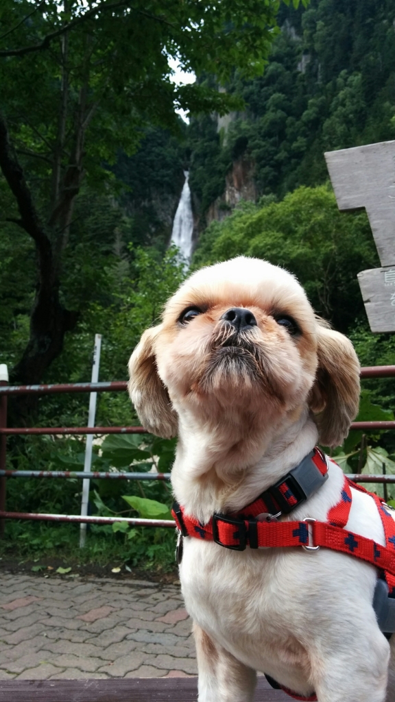 f:id:leo-roy:20160925015208j:plain