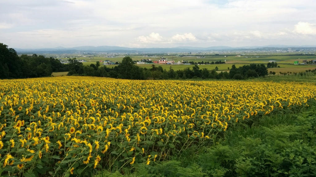 f:id:leo-roy:20160925020845j:plain