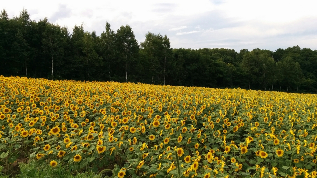 f:id:leo-roy:20160925020938j:plain