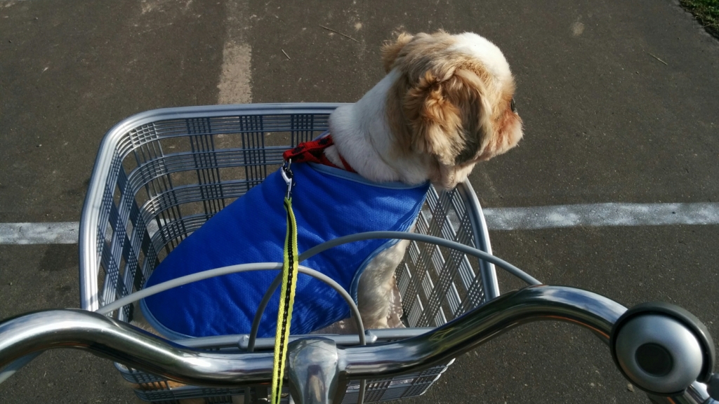 f:id:leo-roy:20160925021944j:plain