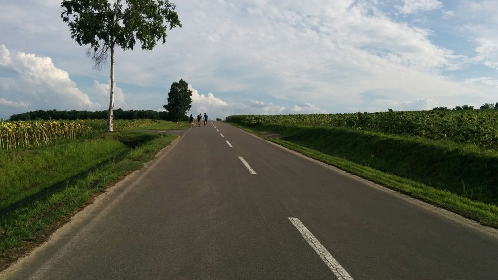 f:id:leo-roy:20160925022227j:plain