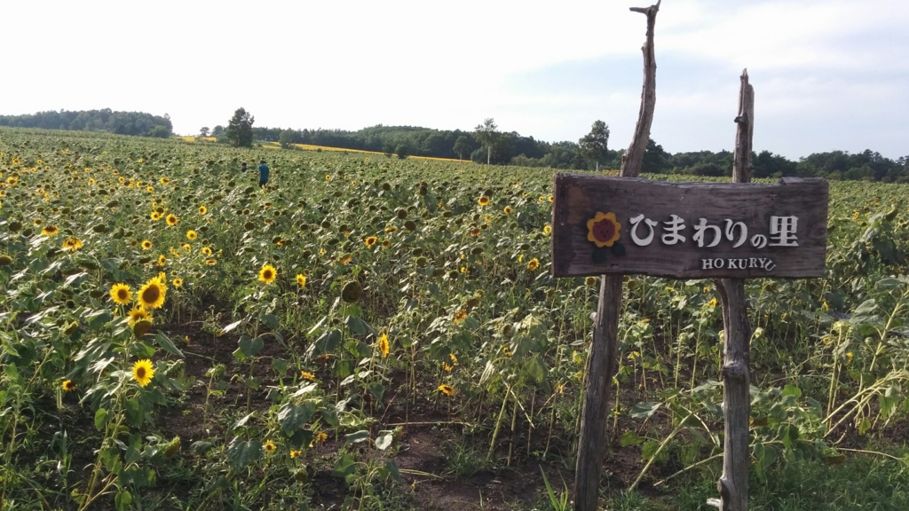 f:id:leo-roy:20160925022315j:plain