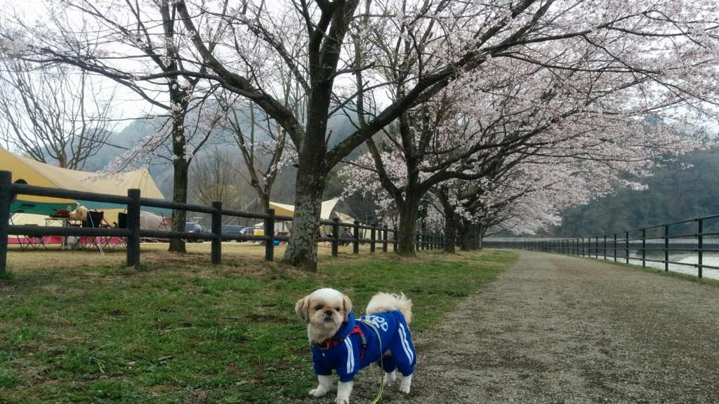 f:id:leo-roy:20170409171214j:plain