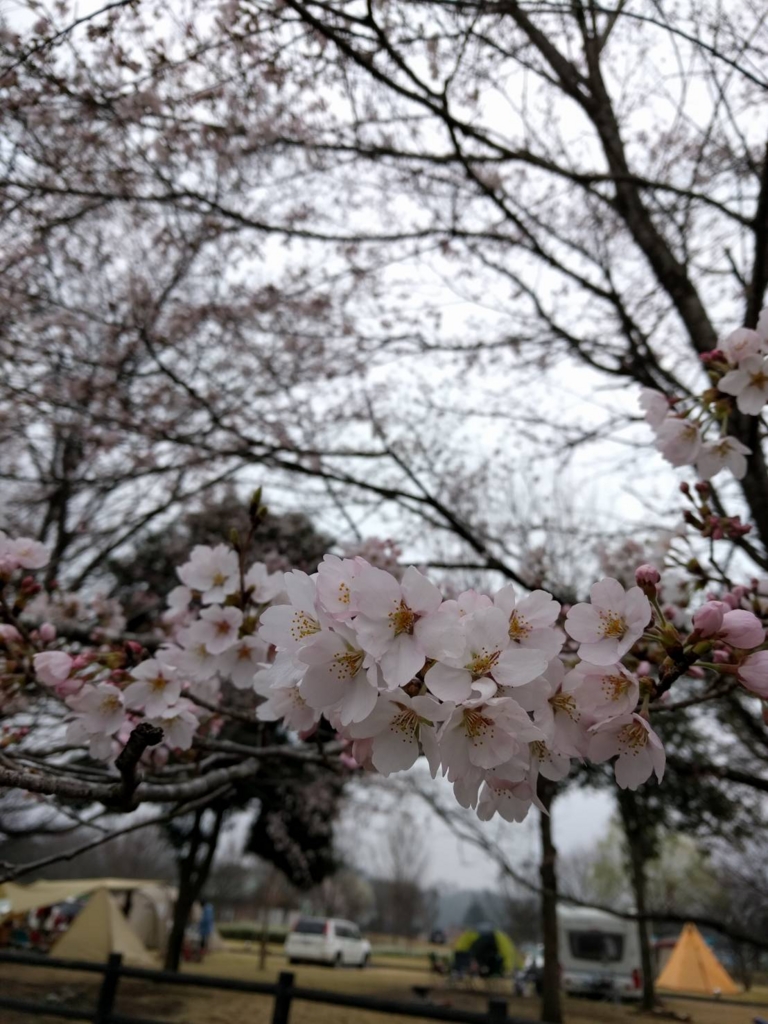 f:id:leo-roy:20170409174157j:plain