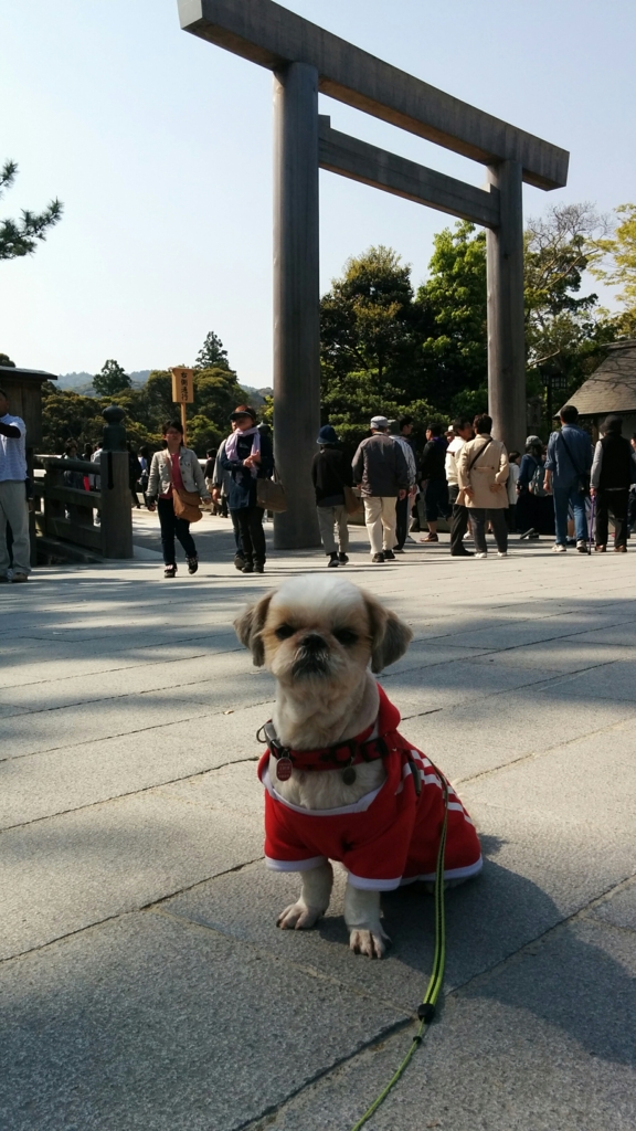 f:id:leo-roy:20170511012401j:plain f:id:leo-roy:20170511012401j:plain