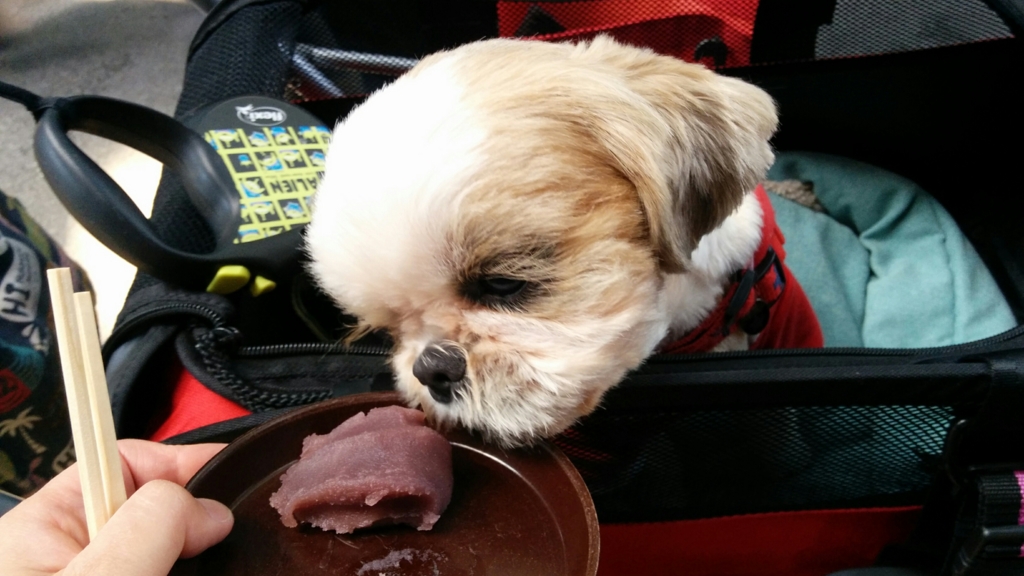 f:id:leo-roy:20170511013527j:plain f:id:leo-roy:20170511013527j:plain