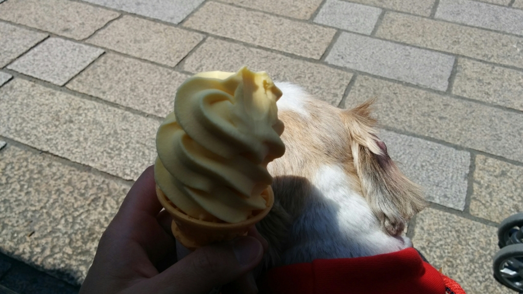 f:id:leo-roy:20170511013701j:plain f:id:leo-roy:20170511013701j:plain