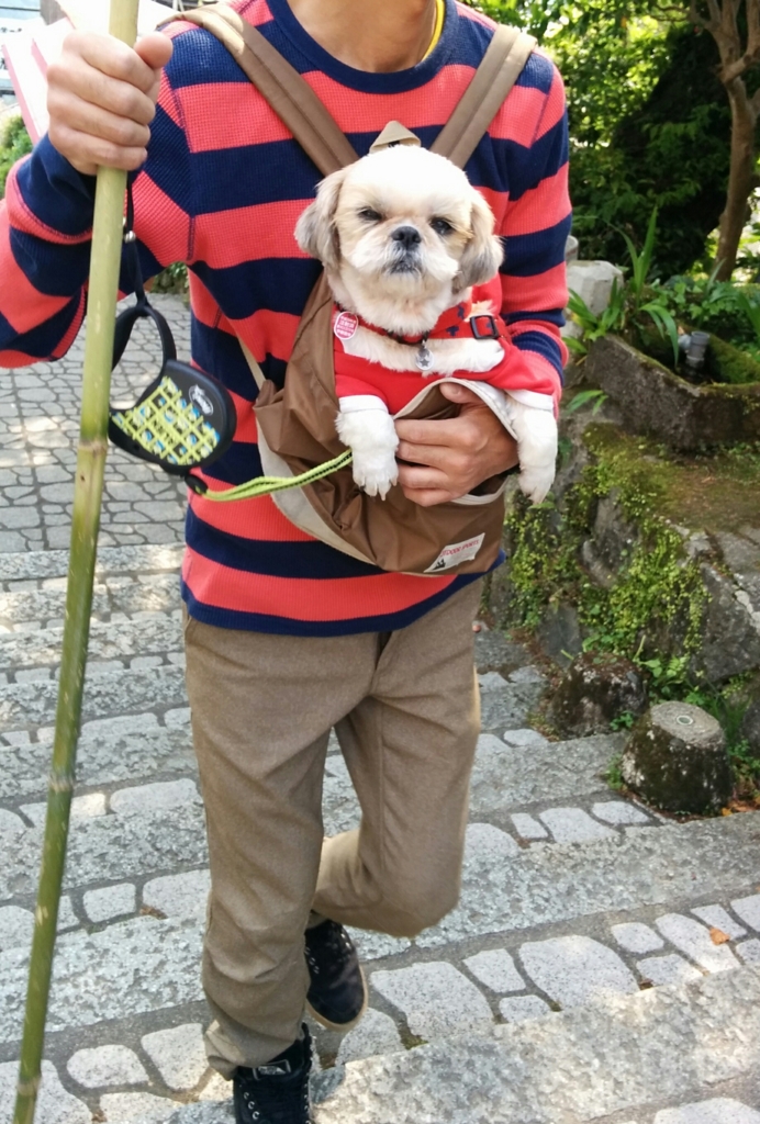 f:id:leo-roy:20170516015711j:plain