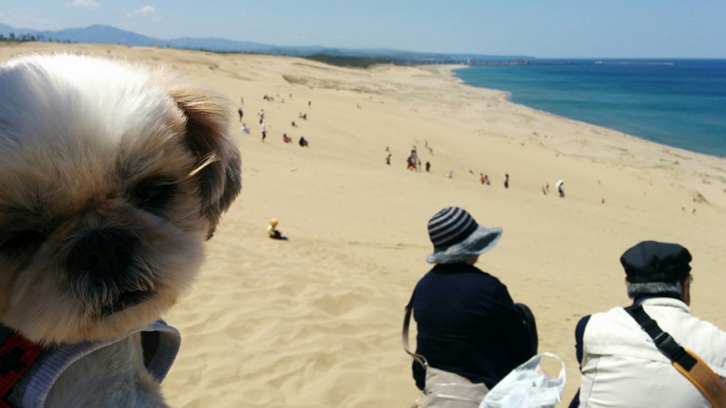 f:id:leo-roy:20170608162542j:plain f:id:leo-roy:20170608162542j:plain