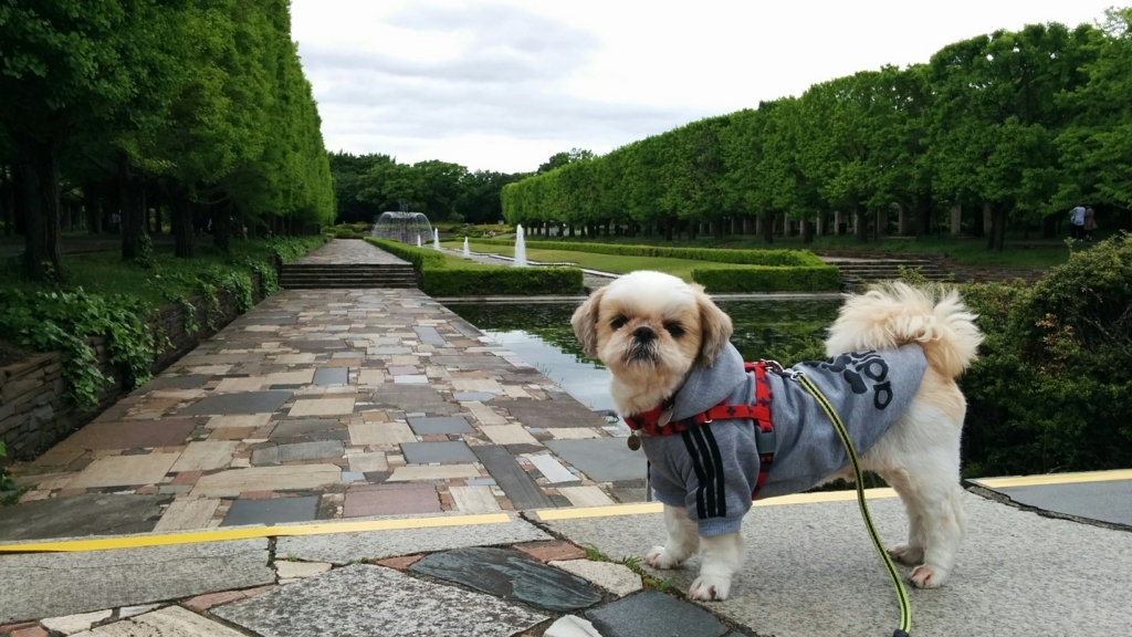 f:id:leo-roy:20170703131445j:plain