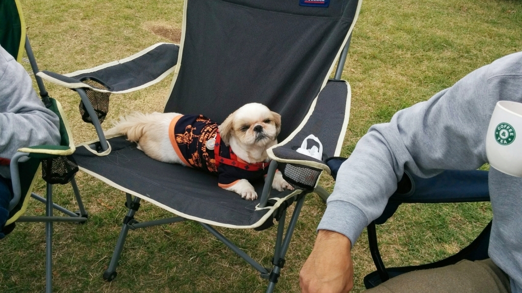 f:id:leo-roy:20170707020923j:plain f:id:leo-roy:20170707020923j:plain