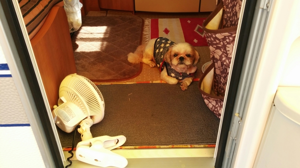 f:id:leo-roy:20170709010206j:plain