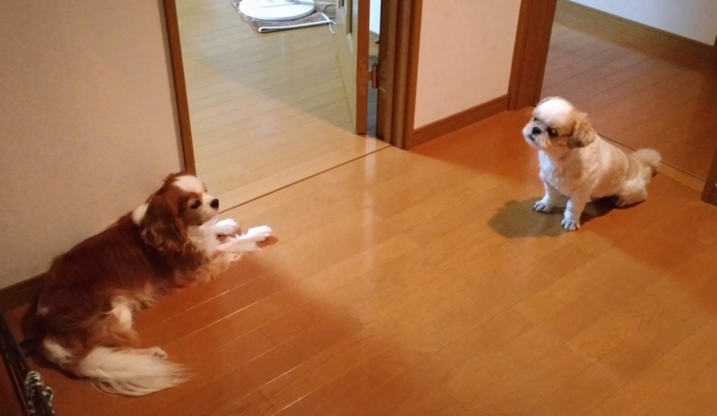 f:id:leo-roy:20170730220236j:plain