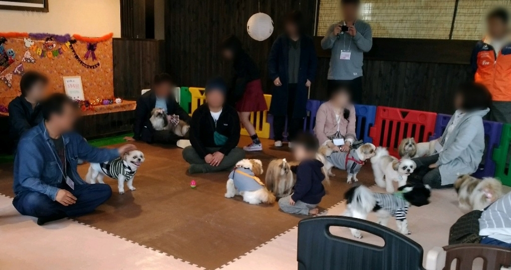 f:id:leo-roy:20171107214341j:plain