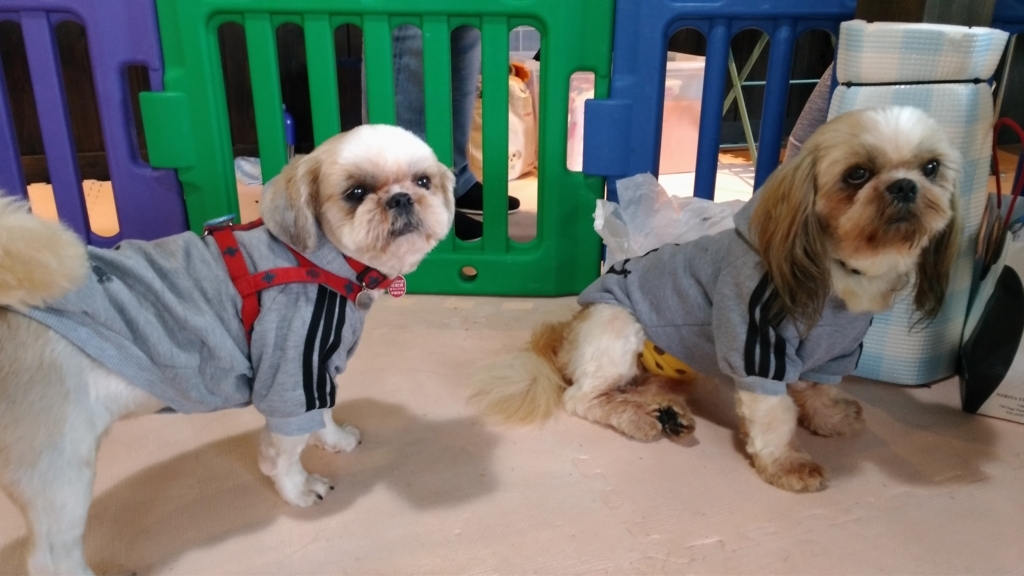 f:id:leo-roy:20171107224643j:plain