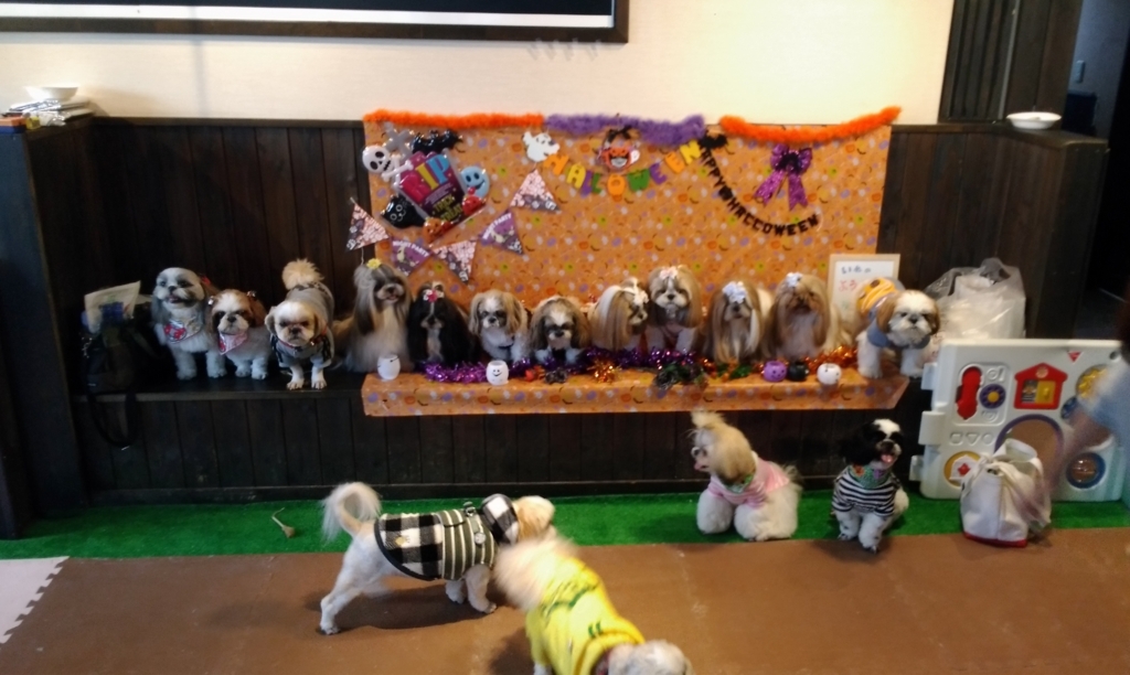 f:id:leo-roy:20171107230152j:plain