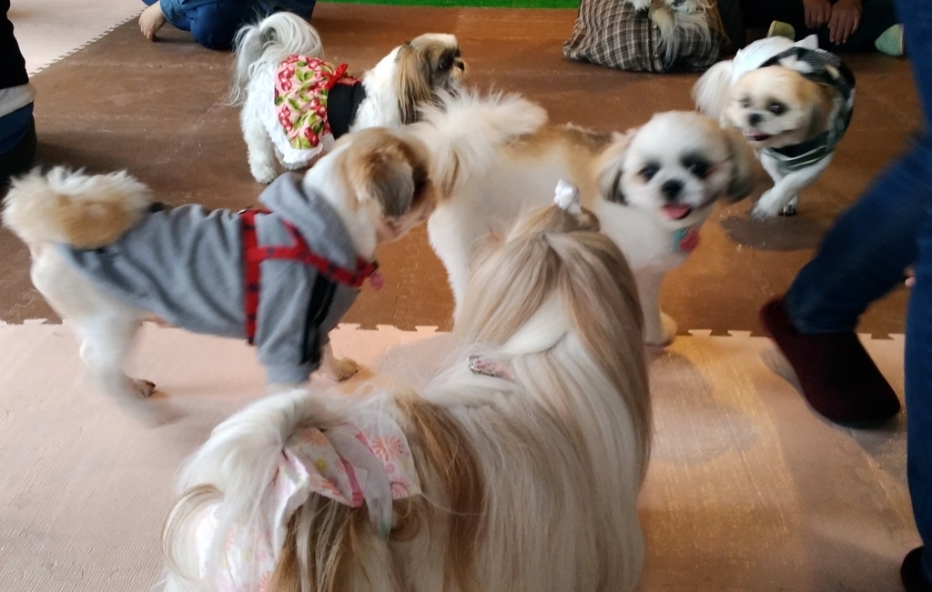 f:id:leo-roy:20171107234243j:plain