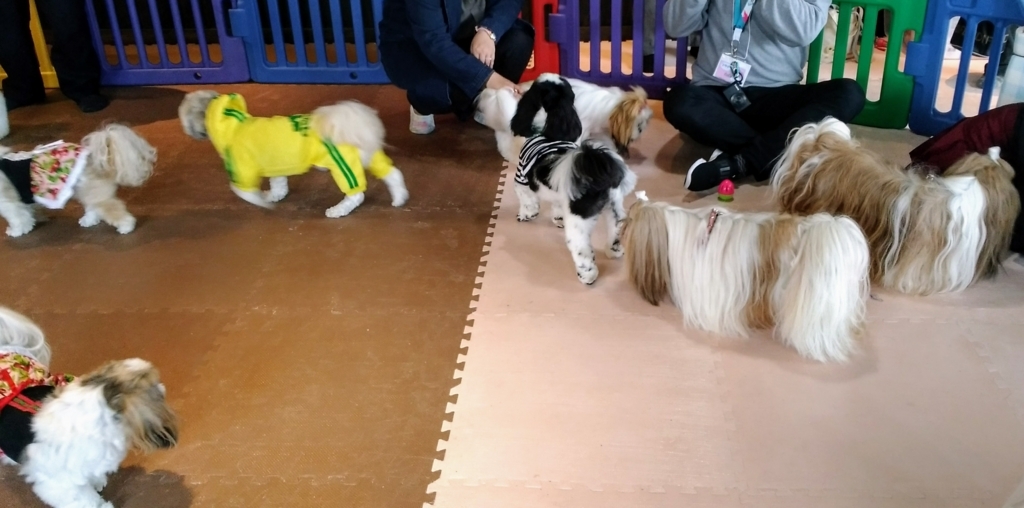 f:id:leo-roy:20171107234416j:plain