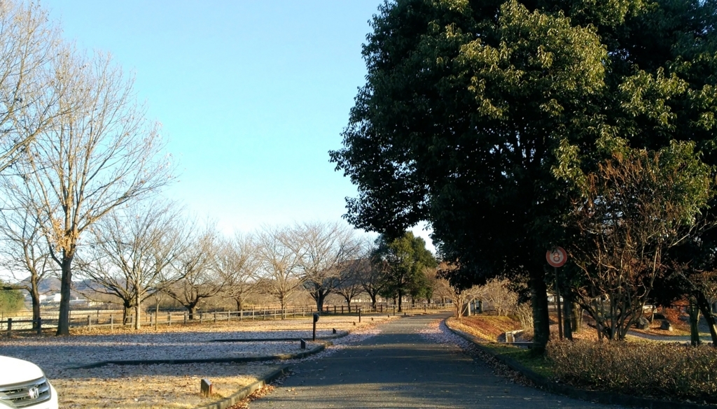 f:id:leo-roy:20171216150334j:plain f:id:leo-roy:20171216150334j:plain