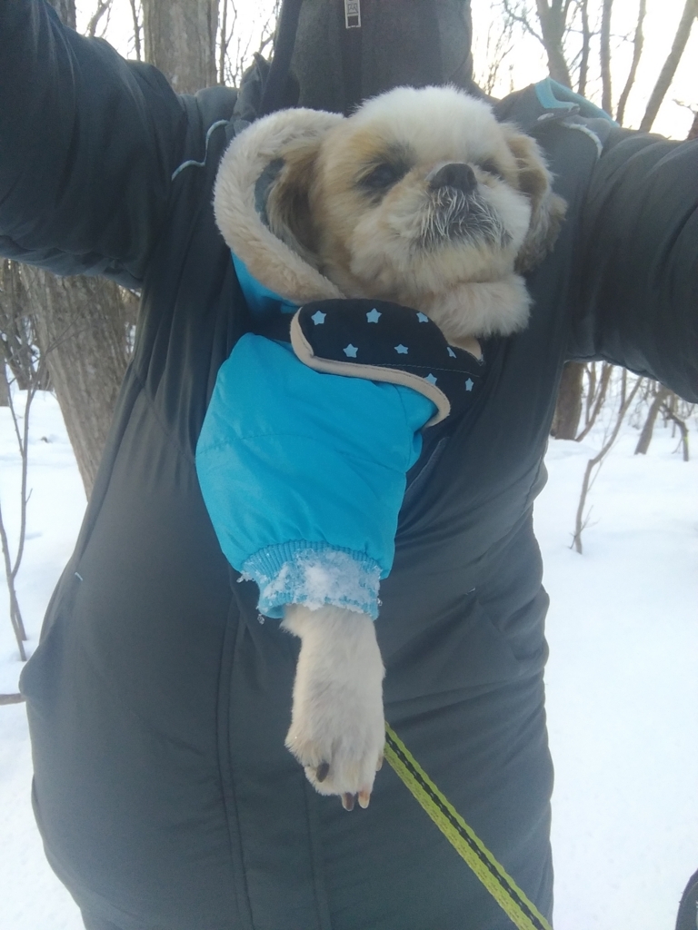f:id:leo-roy:20180105221920j:plain f:id:leo-roy:20180105221920j:plain