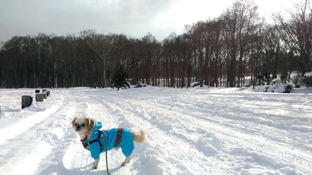 f:id:leo-roy:20180105222145j:plain f:id:leo-roy:20180105222145j:plain