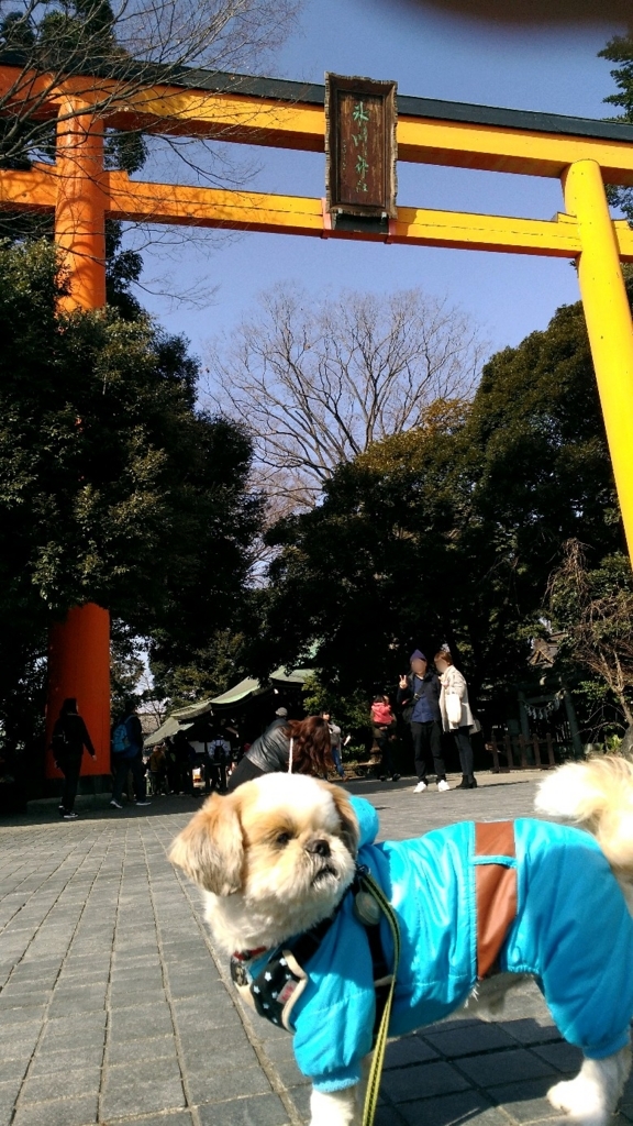 f:id:leo-roy:20180218215850j:plain