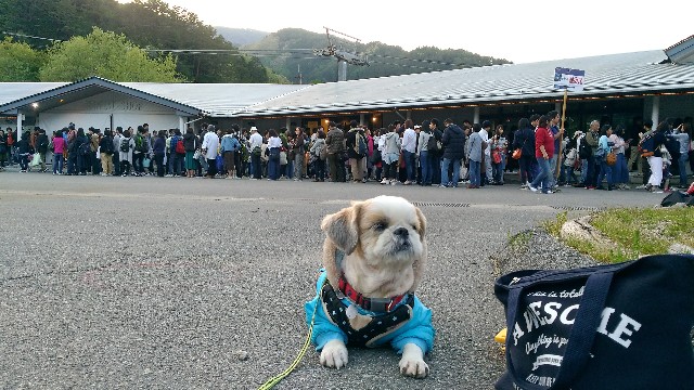 f:id:leo-roy:20180509002813j:plain