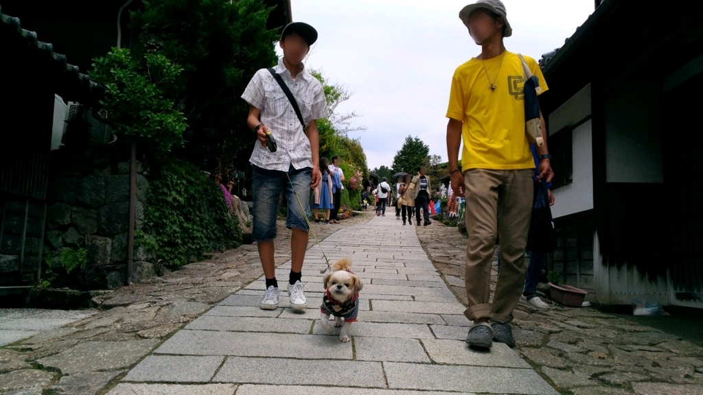f:id:leo-roy:20180512223226j:plain f:id:leo-roy:20180512223226j:plain