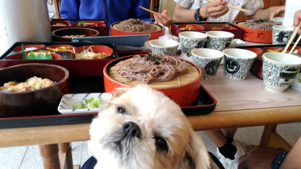 f:id:leo-roy:20180512223455j:plain f:id:leo-roy:20180512223455j:plain