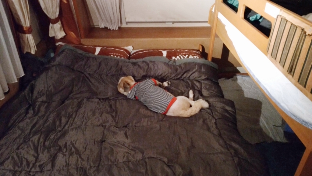 f:id:leo-roy:20180514022123j:plain f:id:leo-roy:20180514022123j:plain