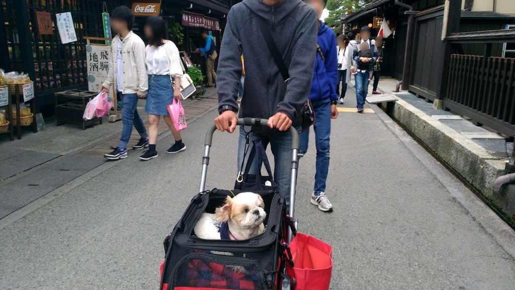 f:id:leo-roy:20180527224609j:plain