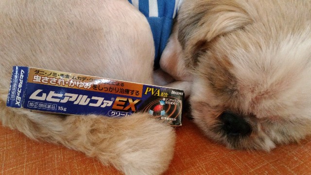 f:id:leo-roy:20180808174458j:plain:w450