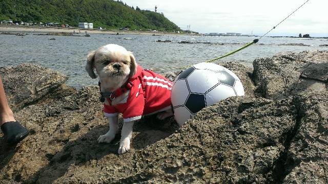 f:id:leo-roy:20180910183905j:plain 鵜ノ崎海岸