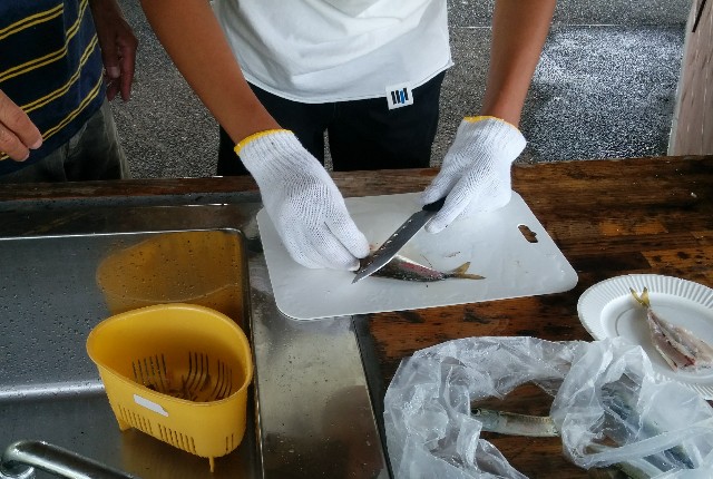 日本海で釣り