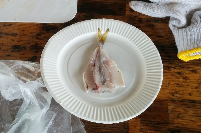 日本海で釣り