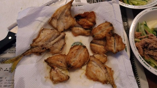 日本海で釣り