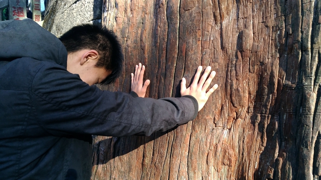 f:id:leo-roy:20181206034015j:plain 秩父市 三峯神社 御神木