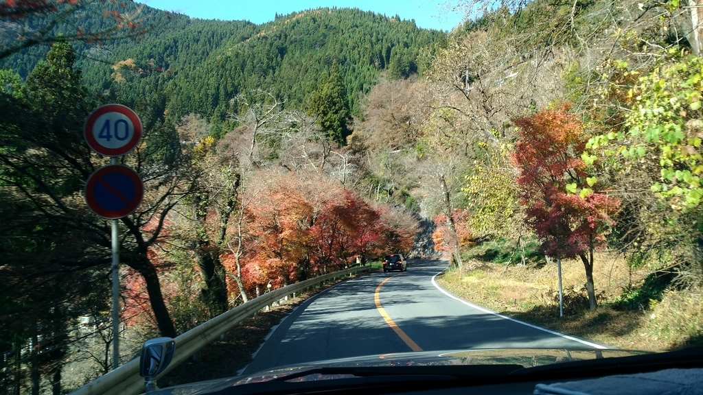RVパークみどりの村　紅葉　秩父　三峯神社