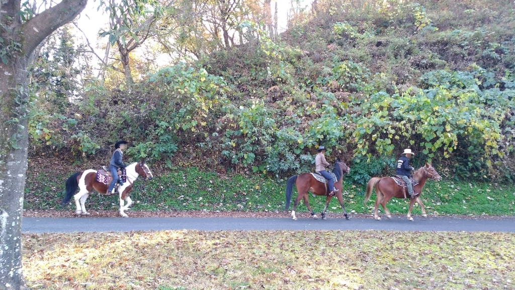 RVパークみどりの村　乗馬