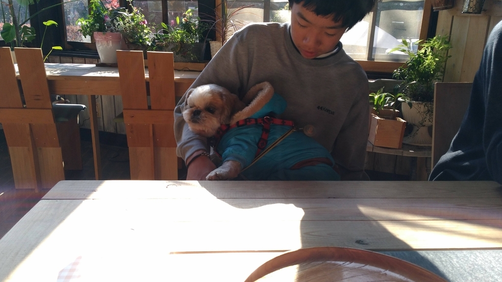 RVパークみどりの村　村カフェ