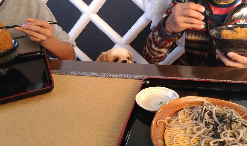 秩父名物わらじカツ丼梵天茶屋ペット可