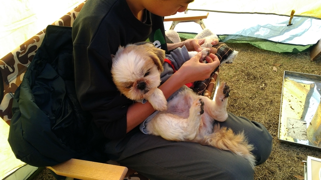 f:id:leo-roy:20181224230344j:plain 鹿沼市出会いの森オートキャンプ場