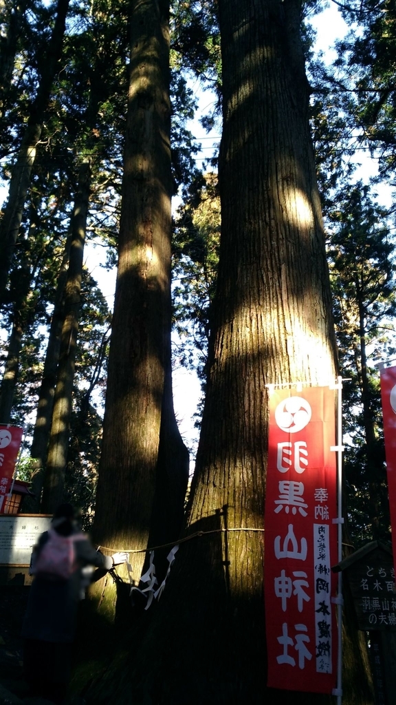 f:id:leo-roy:20190102021506j:plain 羽黒山神社の夫婦杉