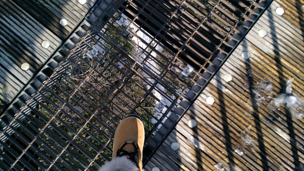 那須のつつじ吊橋