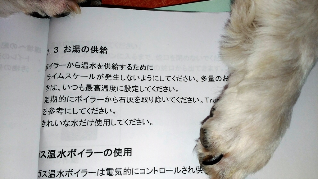 清水タンクの洗浄